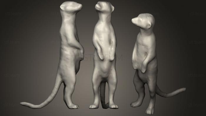 3D model meerkat (STL)